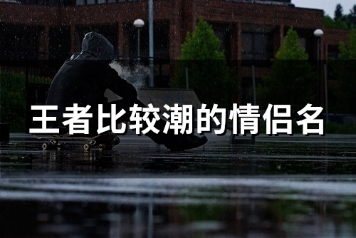 王者比较潮的情侣名(117个)