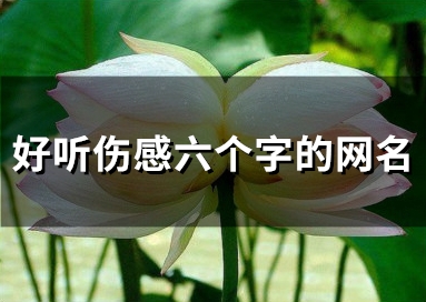 好听伤感六个字的网名(共83个) 好听伤感六个字的网名(共83个)