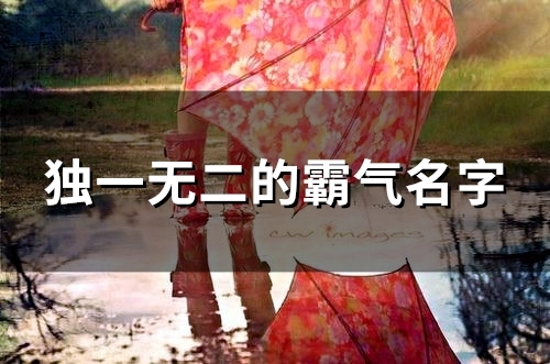 独一无二的霸气名字(88个) 独一无二的霸气名字(88个)