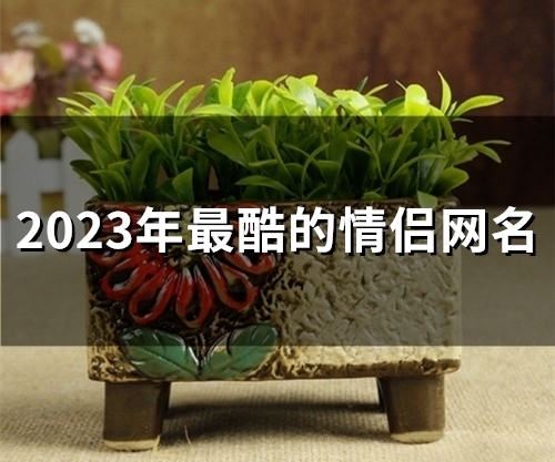 2023年最酷的情侣网名(优选91个) 2023年最酷的情侣网名(优选91个)