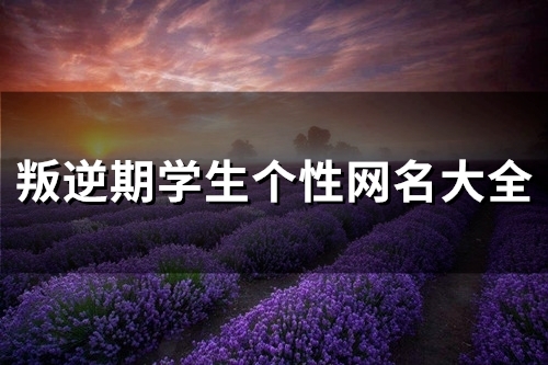 叛逆期学生个性网名大全(90个) 叛逆期学生个性网名大全(90个)