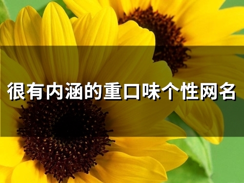 很有内涵的重口味个性网名(优选99个)