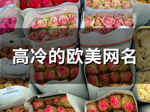 高冷的欧美网名(102个)