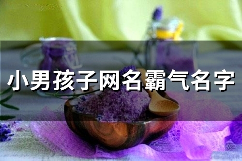 小男孩子网名霸气名字(共94个) 小男孩子网名霸气名字(共94个)