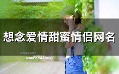 想念爱情甜蜜情侣网名(优选95个)