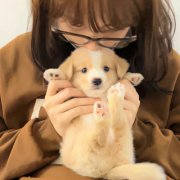 氛围感强的情侣头像(共20张)