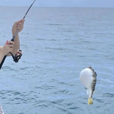 不会被人发现的情侣头像(18张)