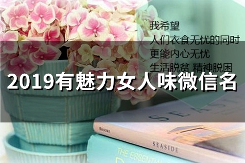 2019有魅力女人味微信名(99个)