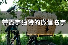 带霞字独特的微信名字(优选84个)