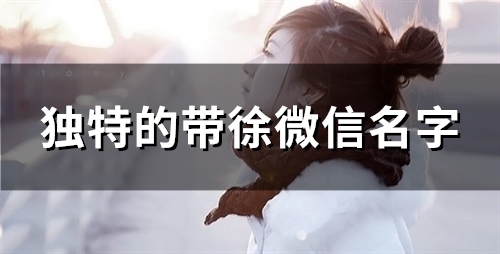 独特的带徐微信名字(37个)