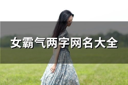 女霸气两字网名大全(80个)