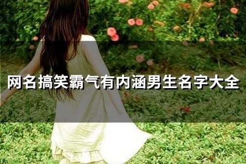 网名搞笑霸气有内涵男生名字大全(118个)