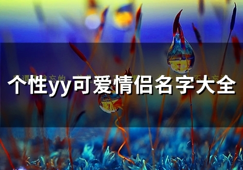 个性yy可爱情侣名字大全(89个) 个性yy可爱情侣名字大全(89个)