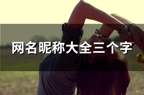 网名昵称大全三个字(精选97个)