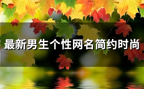 最新男生个性网名简约时尚(优选110个)