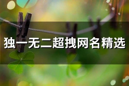 独一无二超拽网名精选(优选89个) 独一无二超拽网名精选(优选89个)