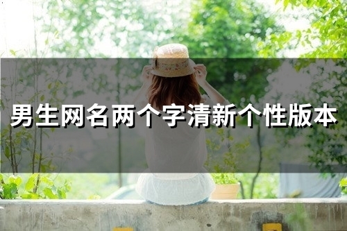 男生网名两个字清新个性版本(精选66个)