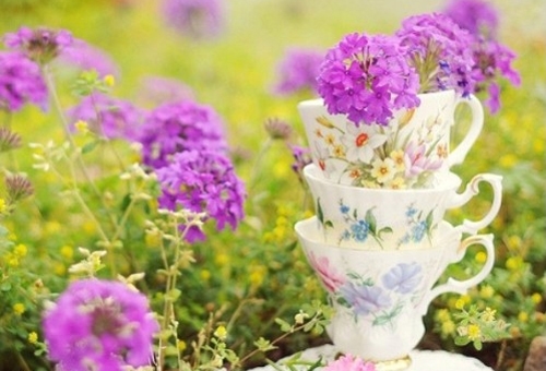 好听的两个字的昵称(精选105个) 好听的两个字的昵称(精选105个)