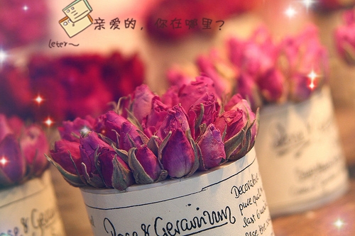 两个字的悲伤网名(精选94个) 两个字的悲伤网名(精选94个)