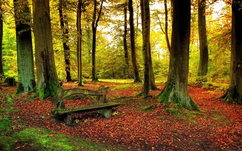 适合男生的古风名字三个字的名字(118个)