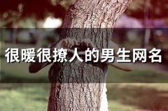 很暖很撩人的男生网名(共114个)