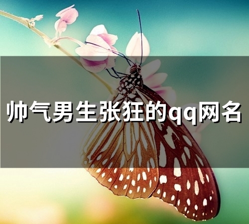 帅气男生张狂的qq网名(优选98个) 帅气男生张狂的qq网名(优选98个)