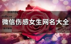 微信伤感女生网名大全(共93个)