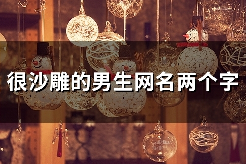 很沙雕的男生网名两个字(共92个)