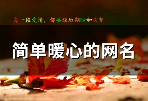 简单暖心的网名(84个) 简单暖心的网名(84个)