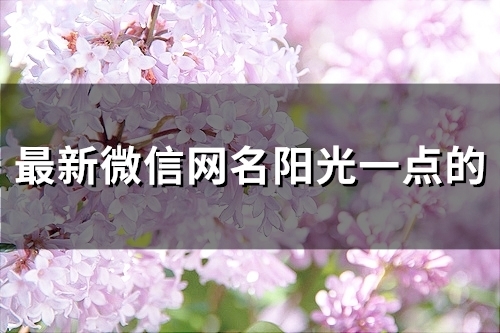 最新微信网名阳光一点的(优选96个)