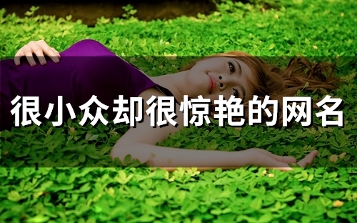 很小众却很惊艳的网名(共119个)