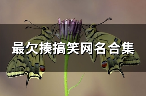 最欠揍搞笑网名合集(精选79个) 最欠揍搞笑网名合集(精选79个)