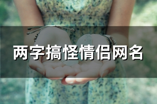 两字搞怪情侣网名(113个) 两字搞怪情侣网名(113个)