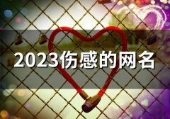 2023伤感的网名(共91个)