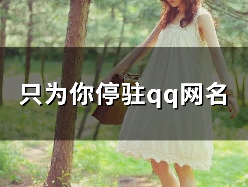 只为你停驻qq网名(优选82个) 只为你停驻qq网名(优选82个)