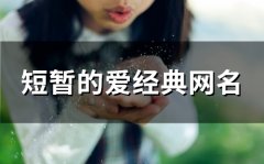 短暂的爱经典网名(93个)