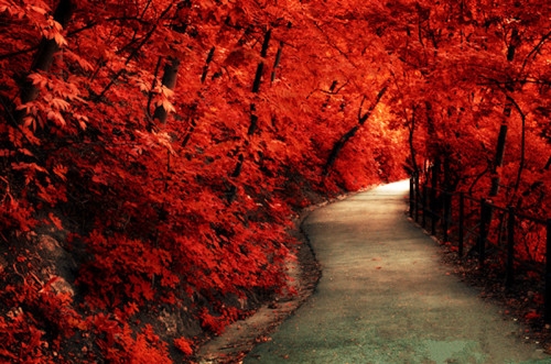 简单大气的微信昵称(精选99个) 简单大气的微信昵称(精选99个)