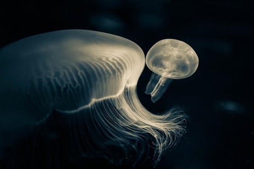 成熟稳重有内涵的男士微信名(89个) 成熟稳重有内涵的男士微信名(89个)