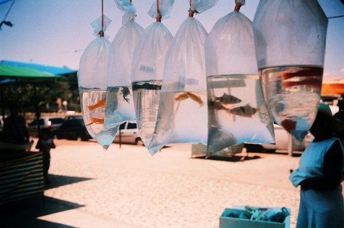 比较丧的二字网名(116个) 比较丧的二字网名(116个)